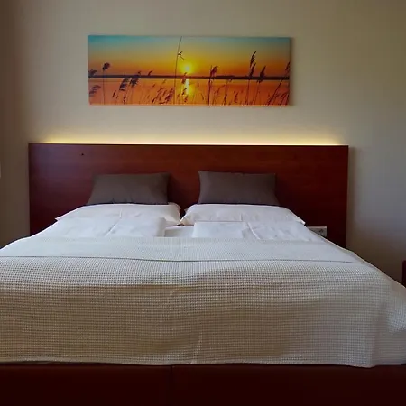 ألبنسي زيل أم سي