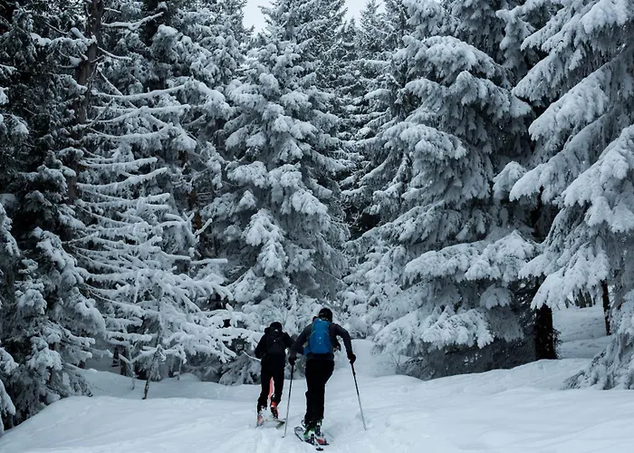 Alpensee アパート *